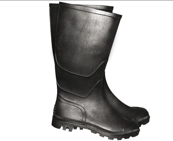 Bottes professionnelles online
