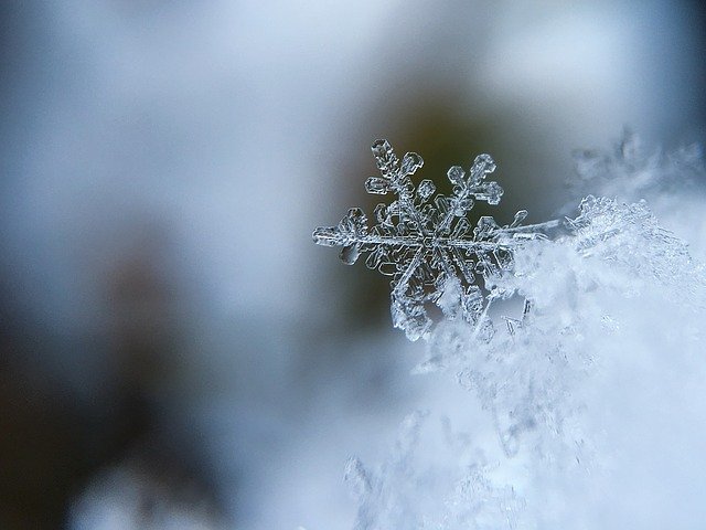 śnieżynka na rozmazanym tle